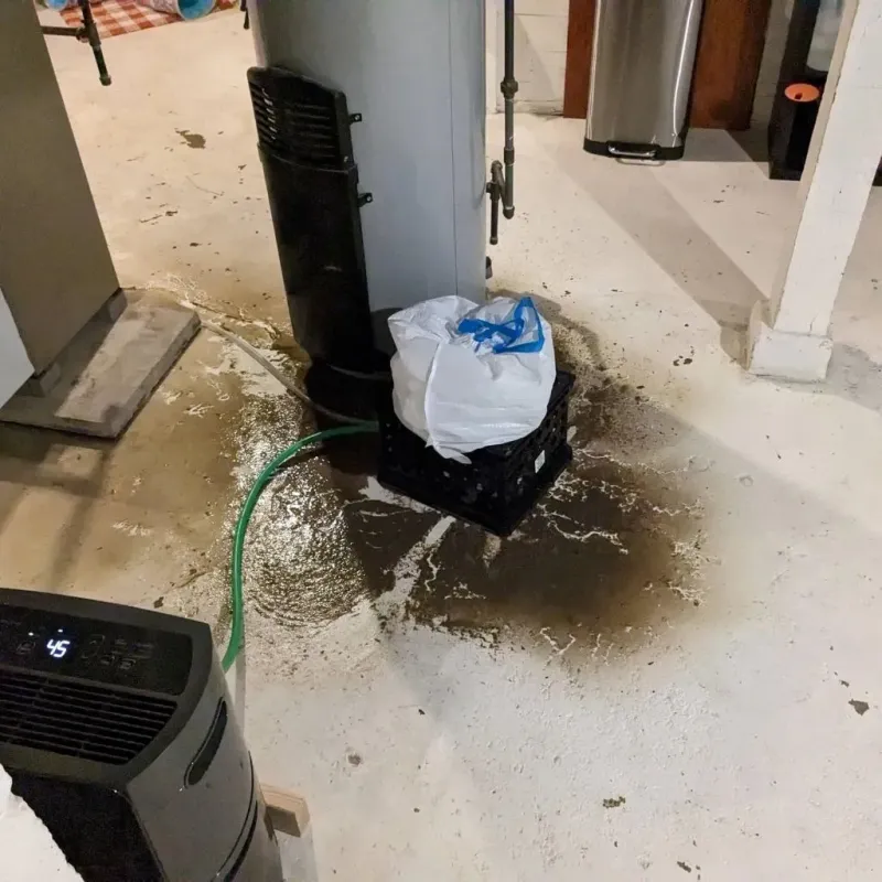 Sewage Backup Cleanup Service in Pine Mountain, GA